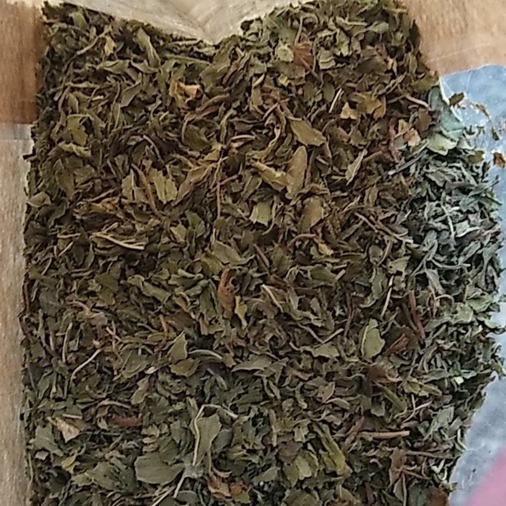 Spearmint - Picture 2 of 2